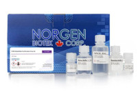 54300 FFPE RNA/DNA Purification Plus Kit ( 50 rxn )